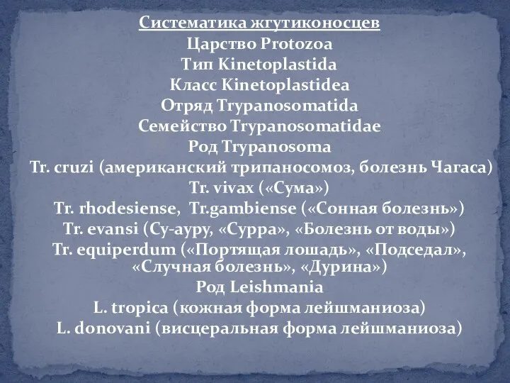 Систематика жгутиконосцев Царство Protozoa Тип Kinetoplastida Класс Kinetoplastidea Отряд Trypanosomatida Семейство Trypanosomatidae