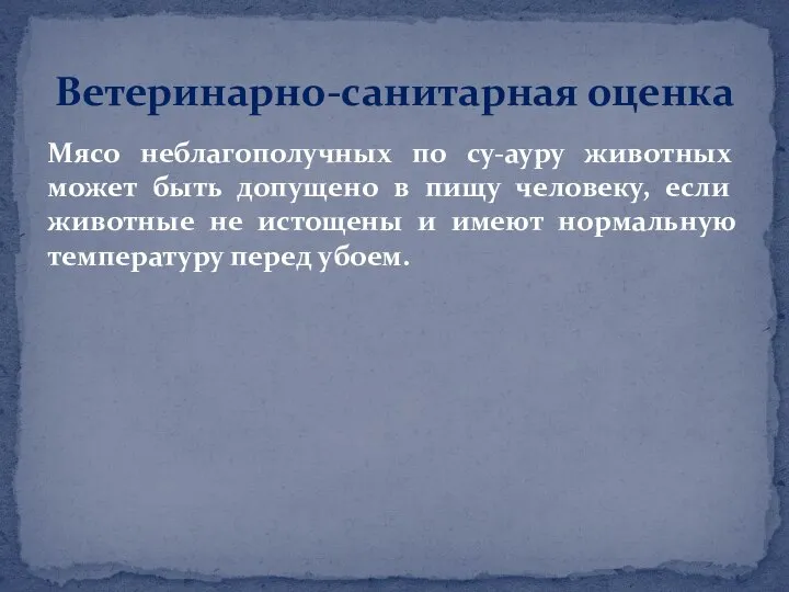 Мясо неблагополучных по су-ауру животных может быть допущено в пищу человеку, если