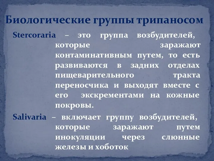 Биологические группы трипаносом Stercoraria – это группа возбудителей, которые заражают контаминативным путем,