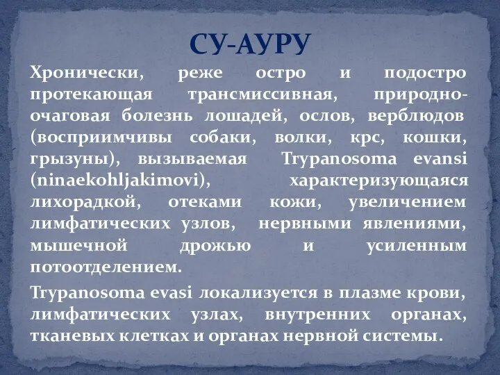 Хронически, реже остро и подостро протекающая трансмиссивная, природно-очаговая болезнь лошадей, ослов, верблюдов