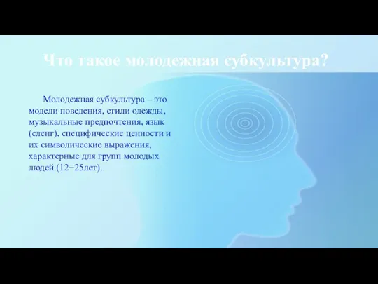 Что такое молодежная субкультура? Молодежная субкультура – это модели поведения, стили одежды,