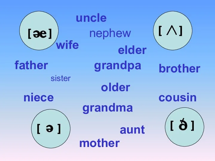 sister nephew wife brother older father grandpa elder cousin grandma mother niece aunt uncle