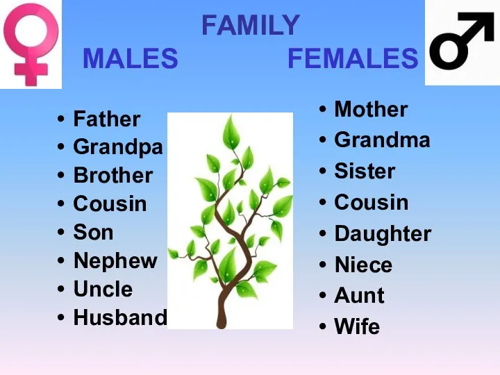 FAMILY MALES FEMALES Father Grandpa Brother Cousin Son Nephew Uncle Husband Mother