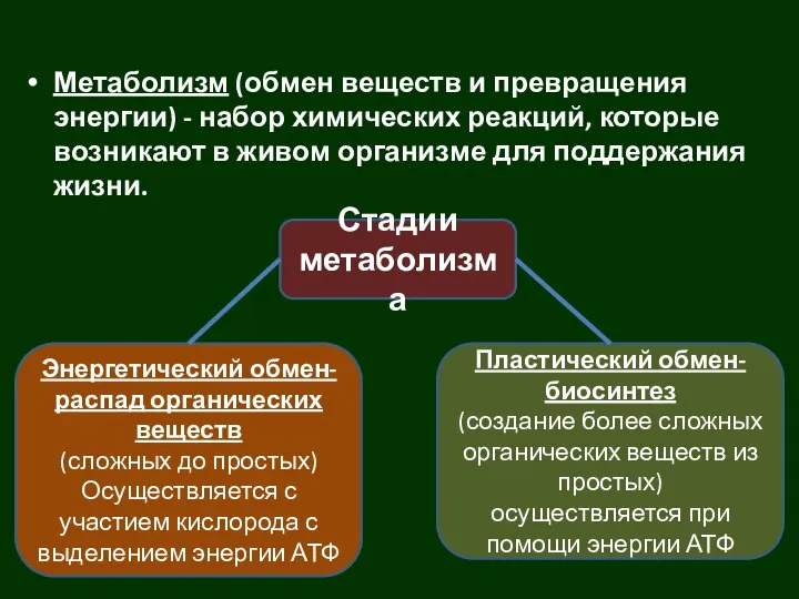 Метаболизм (обмен веществ и превращения энергии) - набор химических реакций, которые возникают