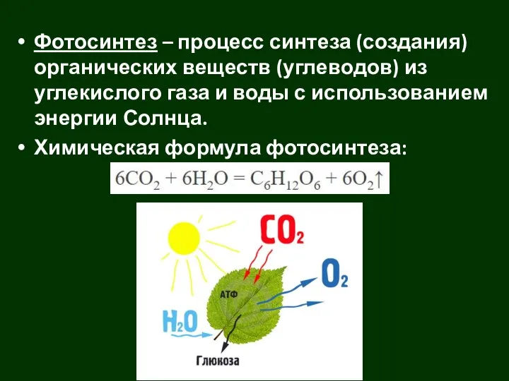 Фотосинтез – процесс синтеза (создания) органических веществ (углеводов) из углекислого газа и