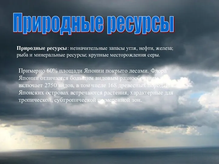 Примерно 60% площади Японии покрыто лесами. Флора Японии отличается большим видовым разнообразием