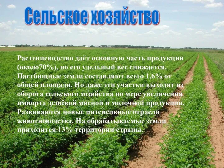 Сельское хозяйство Растениеводство даёт основную часть продукции (около70%), но его удельный вес