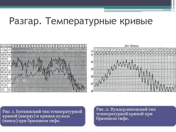 Разгар. Температурные кривые