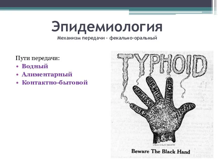 Эпидемиология Механизм передачи – фекально-оральный Пути передачи: Водный Алиментарный Контактно-бытовой