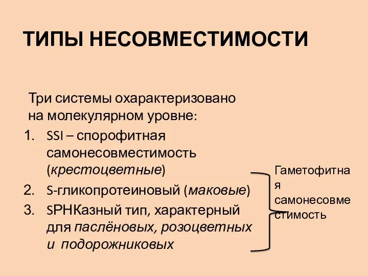 ТИПЫ НЕСОВМЕСТИМОСТИ Три системы охарактеризовано на молекулярном уровне: SSI – спорофитная самонесовместимость