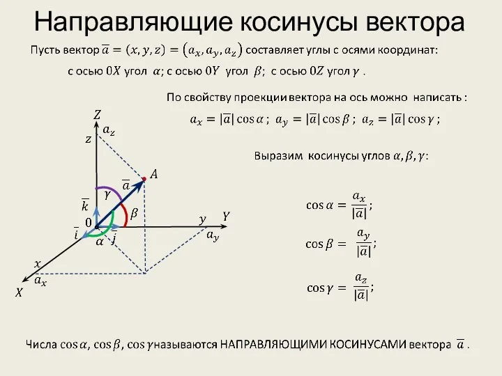 Направляющие косинусы вектора