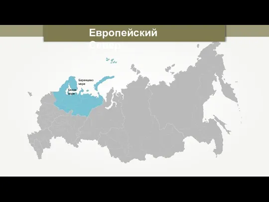 Европейский Север Белое море Баренцево море