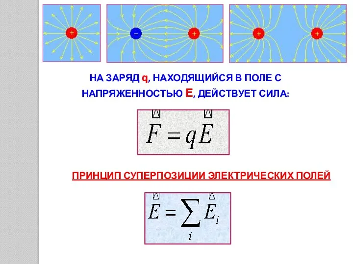 НА ЗАРЯД q, НАХОДЯЩИЙСЯ В ПОЛЕ С НАПРЯЖЕННОСТЬЮ Е, ДЕЙСТВУЕТ СИЛА: ПРИНЦИП СУПЕРПОЗИЦИИ ЭЛЕКТРИЧЕСКИХ ПОЛЕЙ