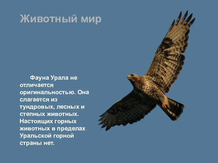Фауна Урала не отличается оригинальностью. Она слагается из тундровых, лесных и степных