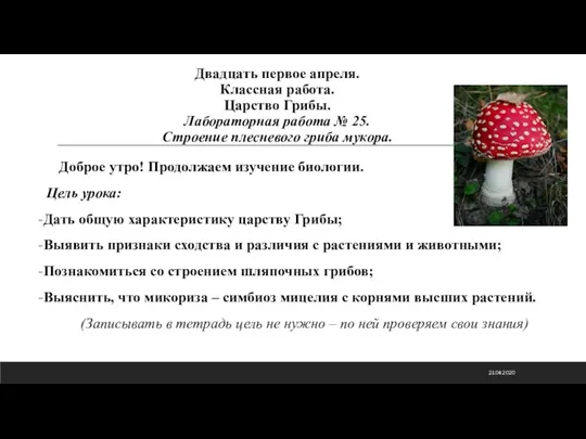 Двадцать первое апреля. Классная работа. Царство Грибы. Лабораторная работа № 25. Строение