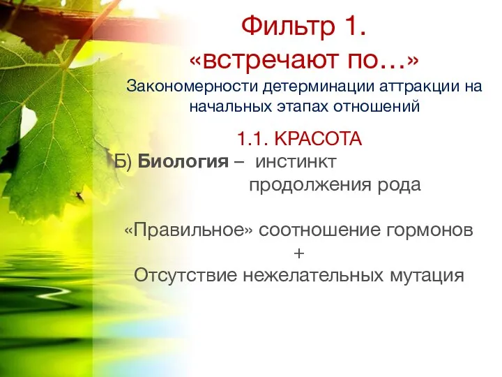 1.1. КРАСОТА Б) Биология – инстинкт продолжения рода «Правильное» соотношение гормонов +