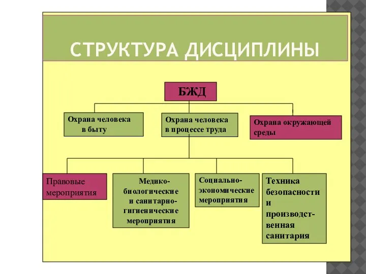 СТРУКТУРА ДИСЦИПЛИНЫ БЖД Охрана человека в быту Охрана человека в процессе труда