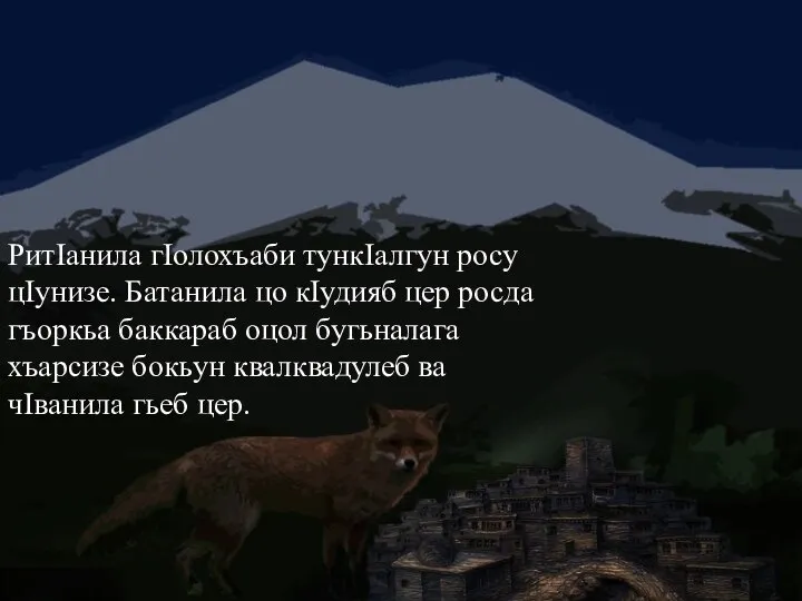 РитIанила гIолохъаби тункIалгун росу цIунизе. Батанила цо кIудияб цер росда гъоркьа баккараб