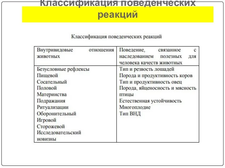 Классификация поведенческих реакций