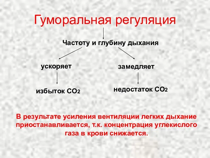 Гуморальная регуляция Частоту и глубину дыхания ускоряет замедляет избыток СО2 недостаток СО2