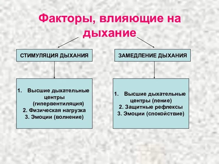 Факторы, влияющие на дыхание СТИМУЛЯЦИЯ ДЫХАНИЯ ЗАМЕДЛЕНИЕ ДЫХАНИЯ Высшие дыхательные центры (гипервентиляция)