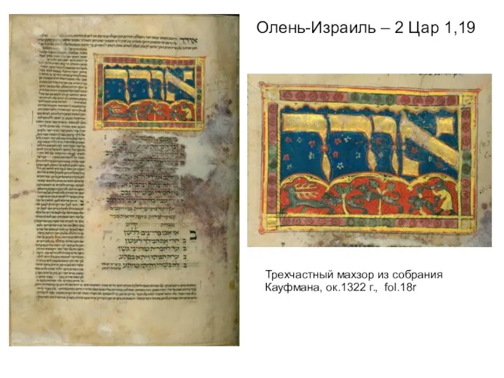 Олень-Израиль – 2 Цар 1,19 Трехчастный махзор из собрания Кауфмана, ок.1322 г., fol.18r