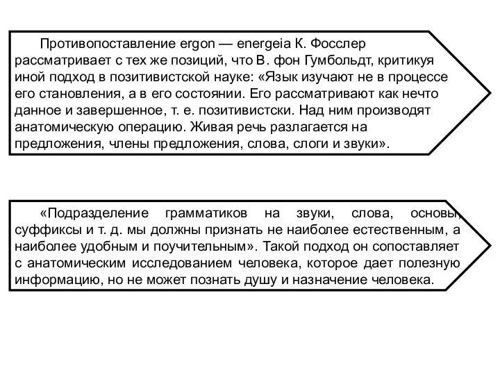 Противопоставление ergon — energeia К. Фосслер рассматривает с тех же позиций, что