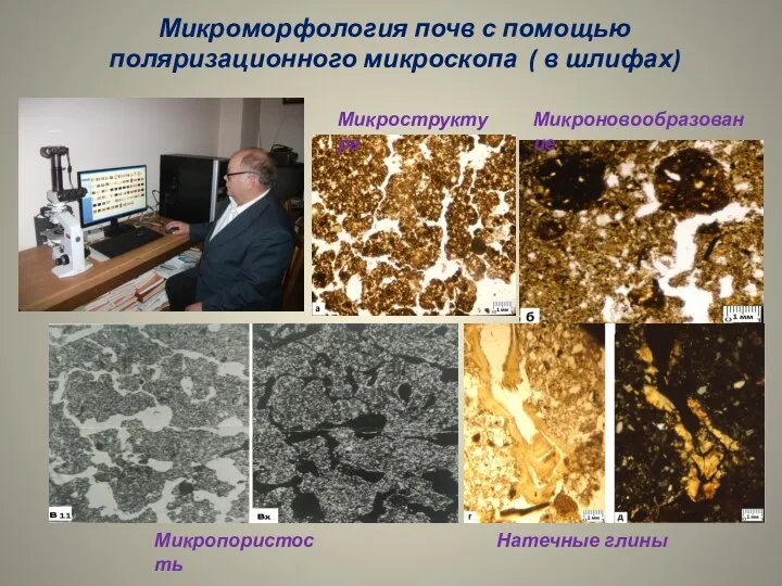 Микроморфология почв с помощью поляризационного микроскопа ( в шлифах) Микроструктура Микроновообразование Микропористость Натечные глины