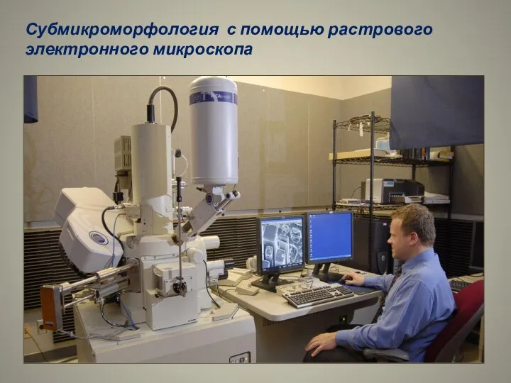 Субмикроморфология с помощью растрового электронного микроскопа