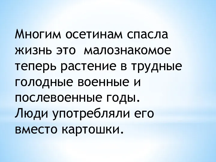 Многим осетинам спасла жизнь это малознакомое теперь растение в трудные голодные военные