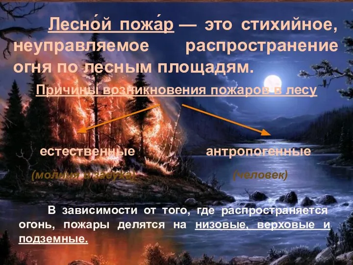 Лесно́й пожа́р — это стихийное, неуправляемое распространение огня по лесным площадям. Причины