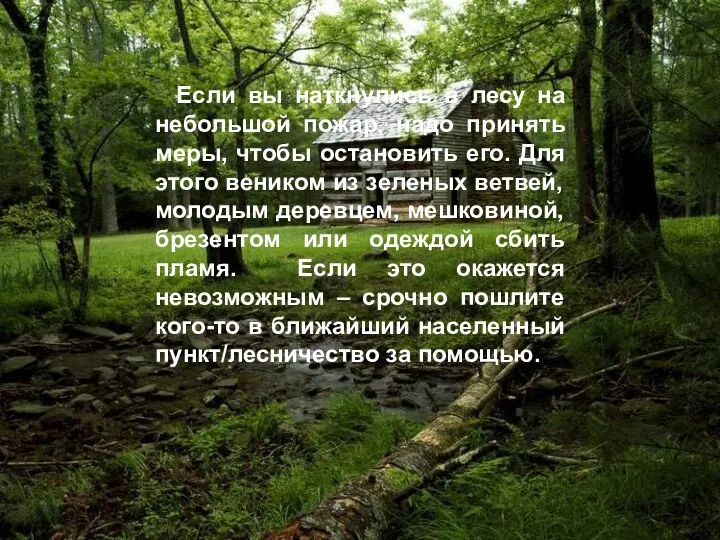 Если вы наткнулись в лесу на небольшой пожар, надо принять меры, чтобы