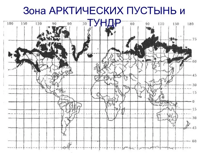 Зона АРКТИЧЕСКИХ ПУСТЫНЬ и ТУНДР