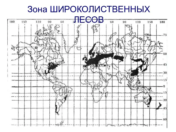 Зона ШИРОКОЛИСТВЕННЫХ ЛЕСОВ