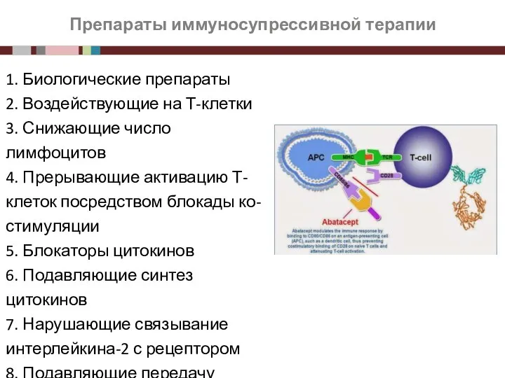 Препараты иммуносупрессивной терапии 1. Биологические препараты 2. Воздействующие на Т-клетки 3. Снижающие