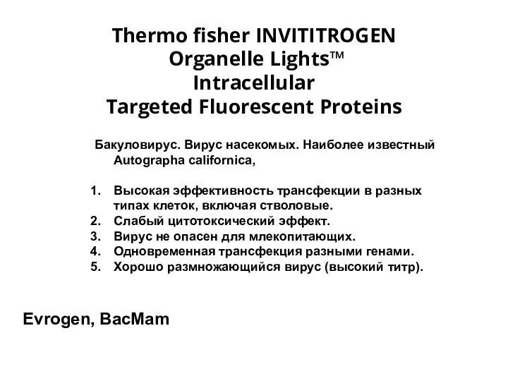 Thermo fisher INVITITROGEN Organelle Lights™ Intracellular Targeted Fluorescent Proteins Бакуловирус. Вирус насекомых.
