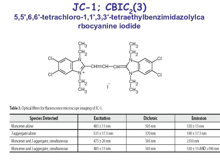 JC-1; CBIC2(3) 5,5',6,6'-tetrachloro-1,1',3,3'-tetraethylbenzimidazolylcarbocyanine iodide