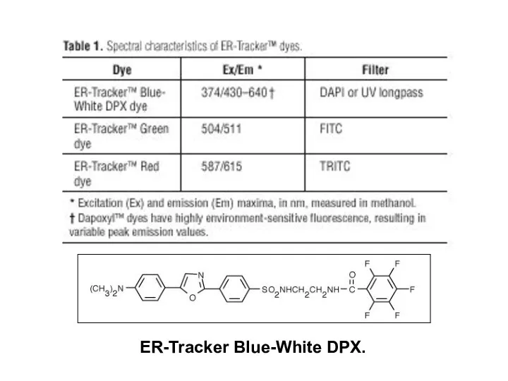 ER-Tracker Blue-White DPX.