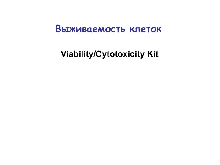 Выживаемость клеток Viability/Cytotoxicity Kit