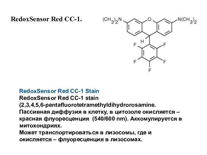 RedoxSensor Red CC-1 Stain RedoxSensor Red CC-1 stain (2,3,4,5,6-pentafluorotetramethyldihydrorosamine. Пассивная диффузия в