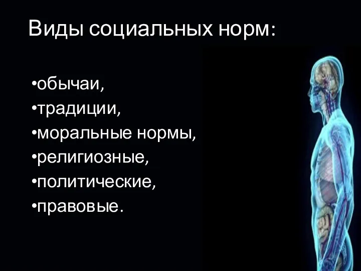 Виды социальных норм: обычаи, традиции, моральные нормы, религиозные, политические, правовые.