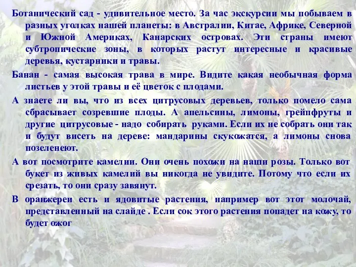 Ботанический сад - удивительное место. За час экскурсии мы побываем в разных