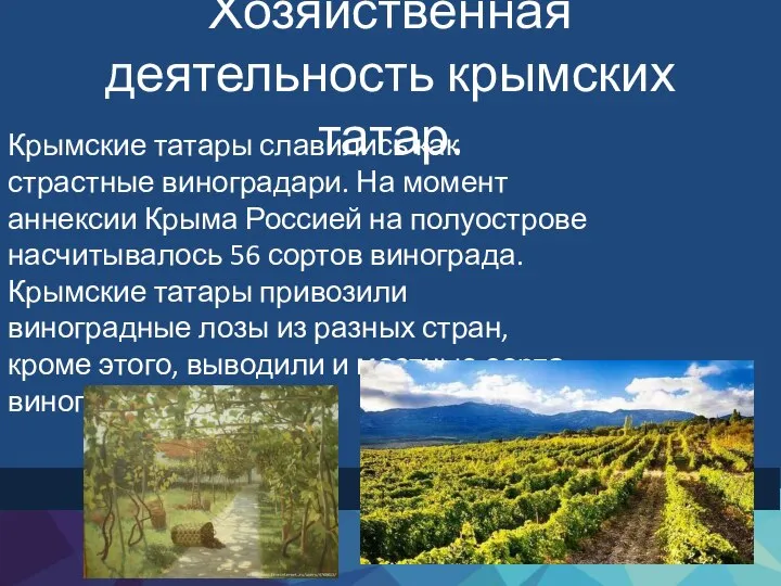 Хозяйственная деятельность крымских татар. Крымские татары славились как страстные виноградари. На момент