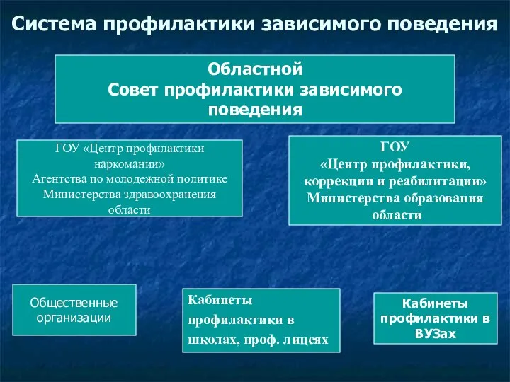 Система профилактики зависимого поведения Областной Совет профилактики зависимого поведения ГОУ «Центр профилактики