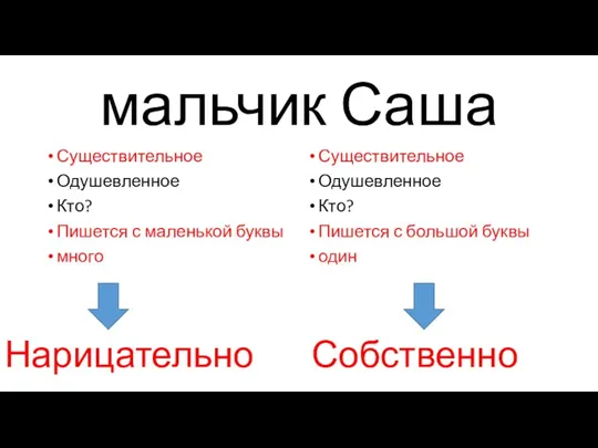 мальчик Саша Существительное Одушевленное Кто? Пишется с маленькой буквы много Существительное Одушевленное