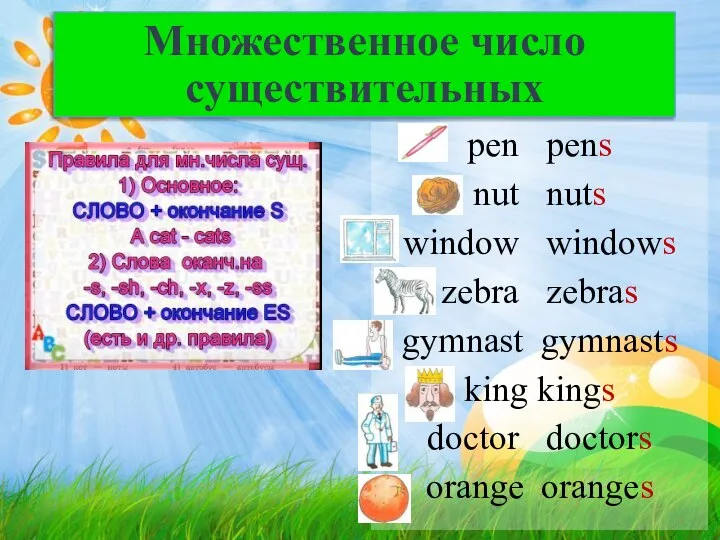 Множественное число существительных pen pens nut nuts window windows zebra zebras gymnast