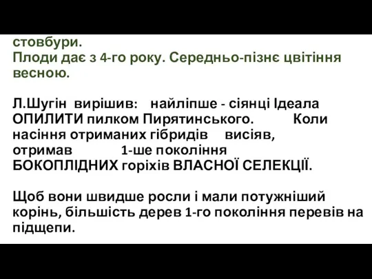 Пирятинський горіх: висота - до 4-5 м, крона часто формується у 2