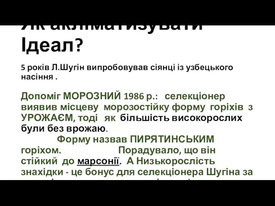 Як акліматизувати Ідеал? 5 років Л.Шугін випробовував сіянці із узбецького насіння .