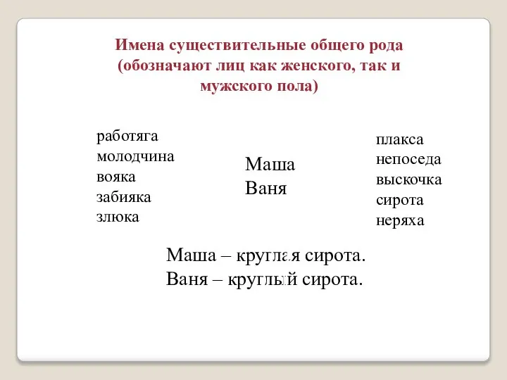 Имена существительные общего рода (обозначают лиц как женского, так и мужского пола)