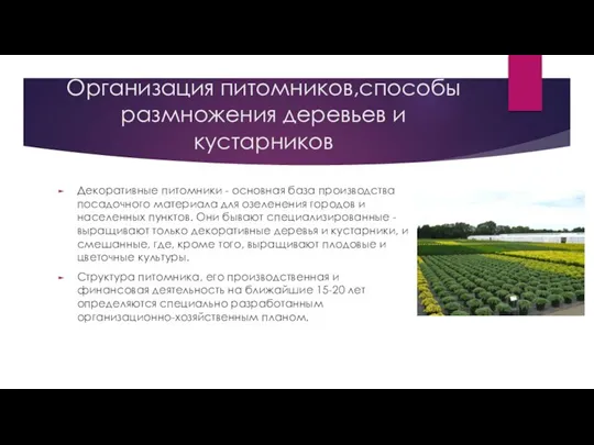 Организация питомников,способы размножения деревьев и кустарников Декоративные питомники - основная база производства